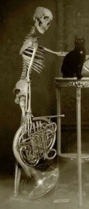 Трубач скелет